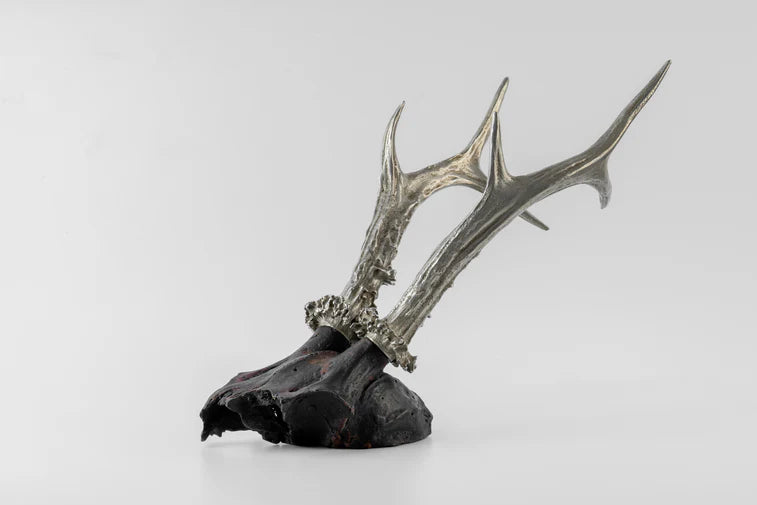 Double Horns Skull