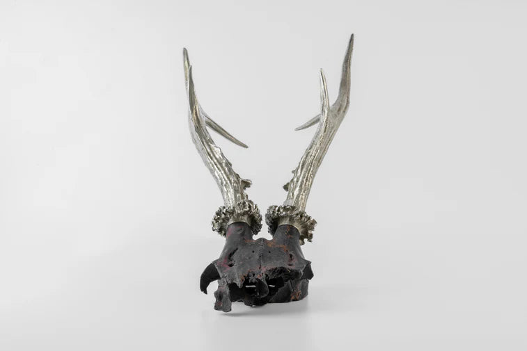 Double Horns Skull