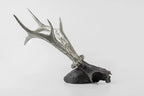 Double Horns Skull