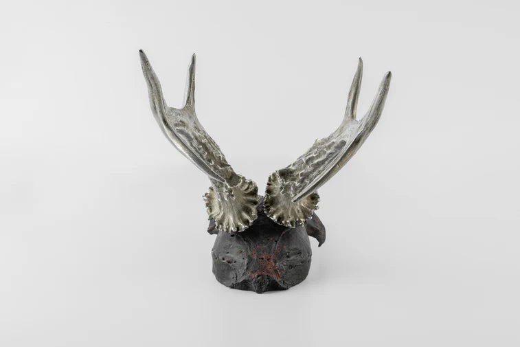 Double Horns Skull