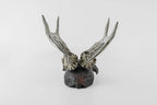 Double Horns Skull