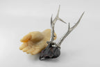 Double Horns Skull