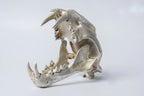 Leopard Var Held Aggression Skull
