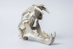 Leopard Var Held Aggression Skull