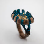 Anillo Solar