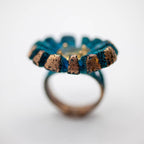 Anillo Solar