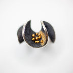 anillo Nudibranch