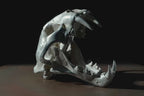 Leopard Var Held Aggression Skull
