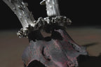 Double Horns Skull